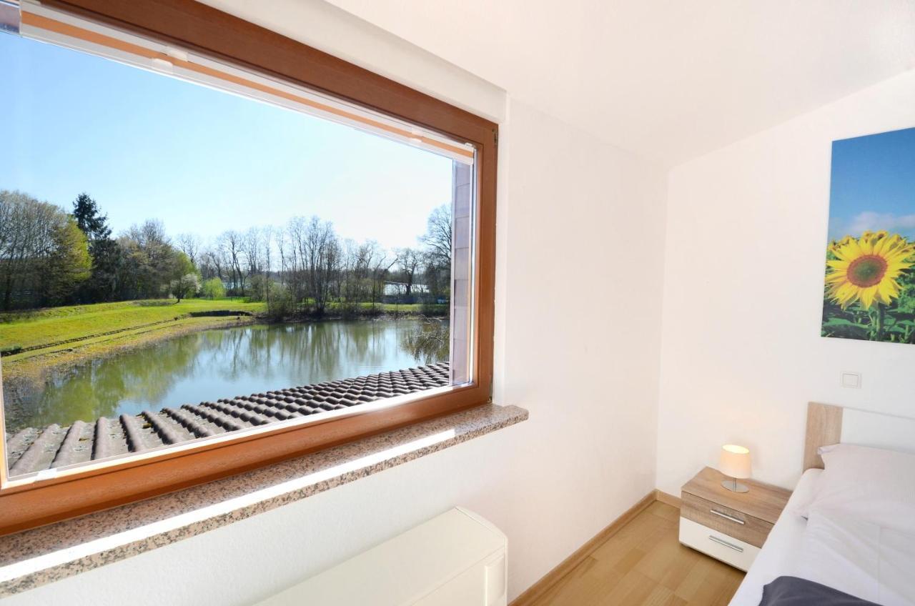 Flat Strasbourg - Europapark / Wallaston Offenburg Luaran gambar